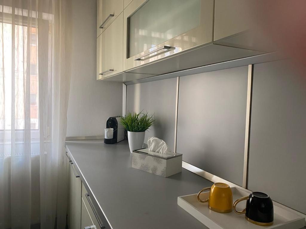 Apartament Doua Camere Baia Mare Extérieur photo